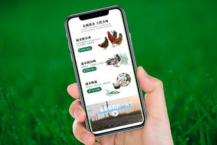 自然之涌，純凈之禾 涌禾農(nóng)場(chǎng)全案品牌形象塑造之路